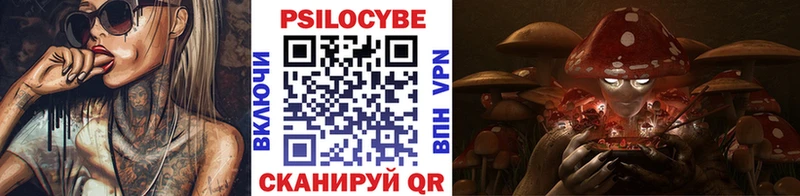 Галлюциногенные грибы MAGIC MUSHROOMS  маркетплейс состав  Юрга 