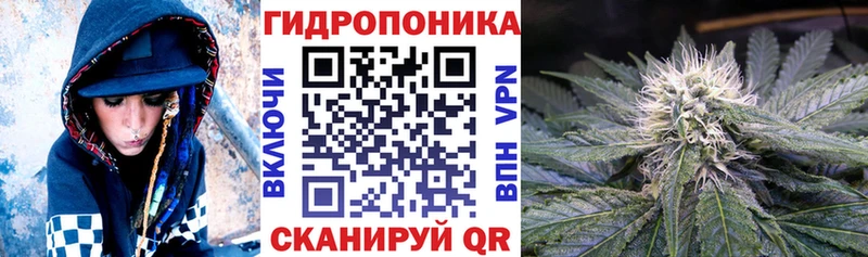 Конопля план  кракен как зайти  Юрга 